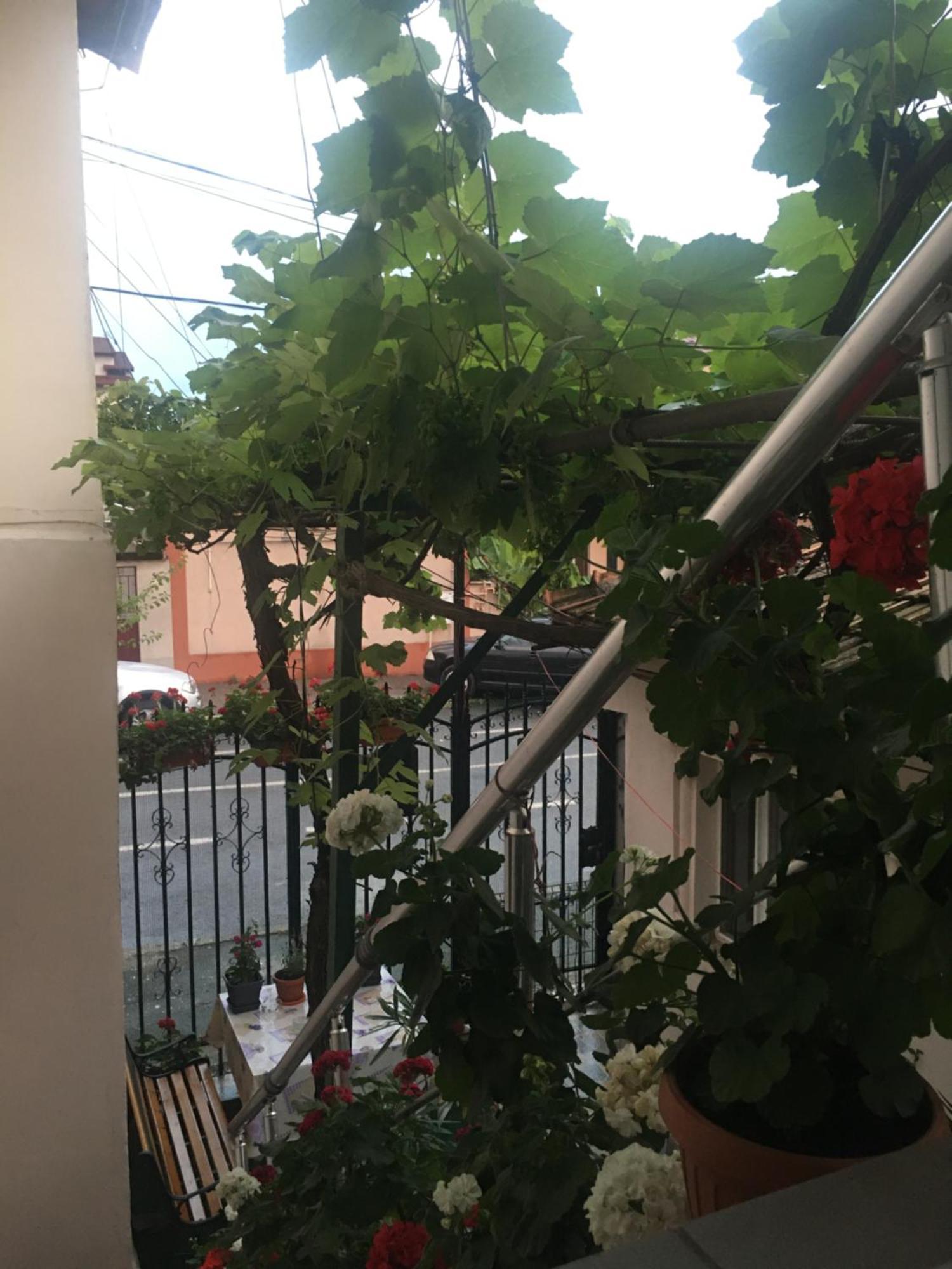 Cazare La Mare Vila 콘스탄차 외부 사진